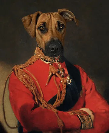 Mister Alfie - Canvas