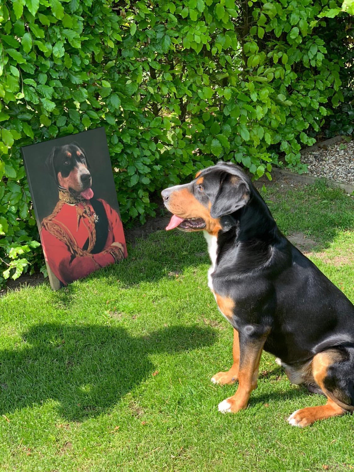 Mister Alfie